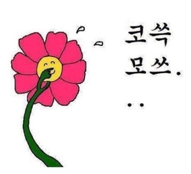 소판돈 이미지