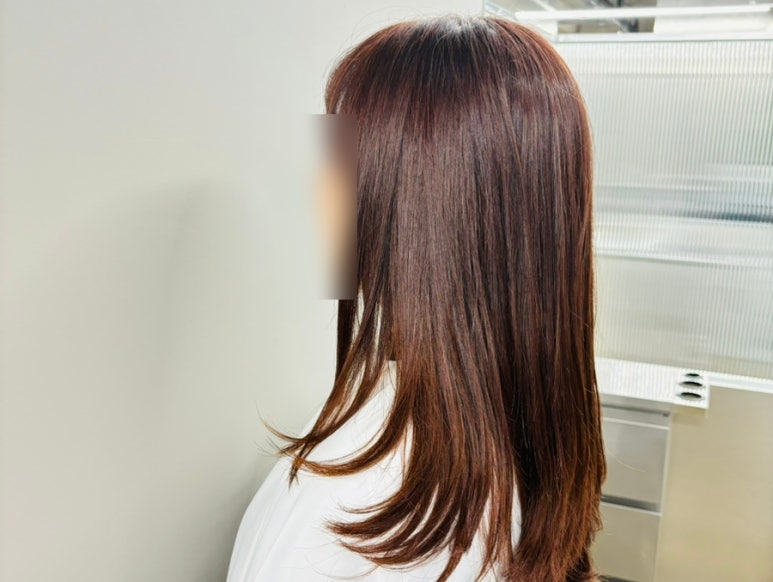 아르티크 이미지