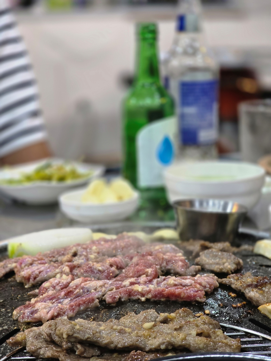 섹시한돼지 이미지