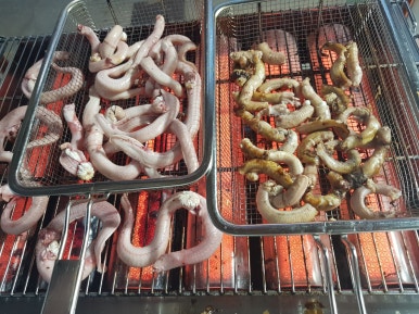 풍천장어와부산꼼장어 이미지