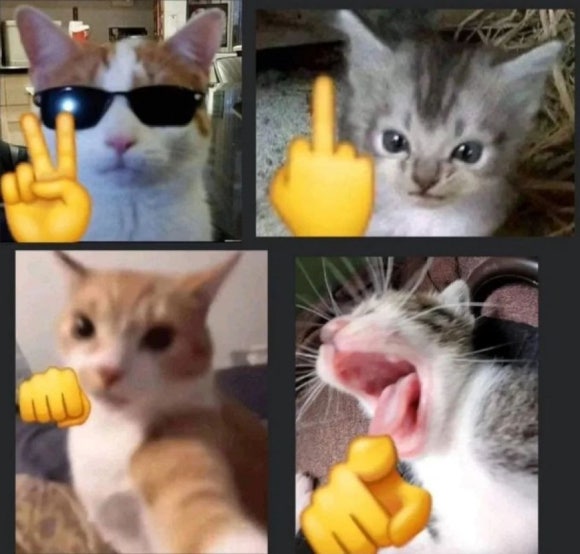 사왓디 이미지