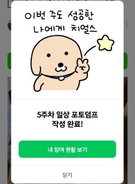 120겹 파이 이미지