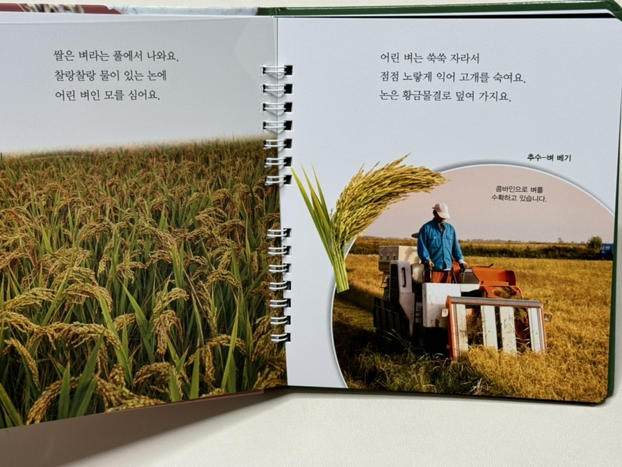 퍼스트푸릇 이미지