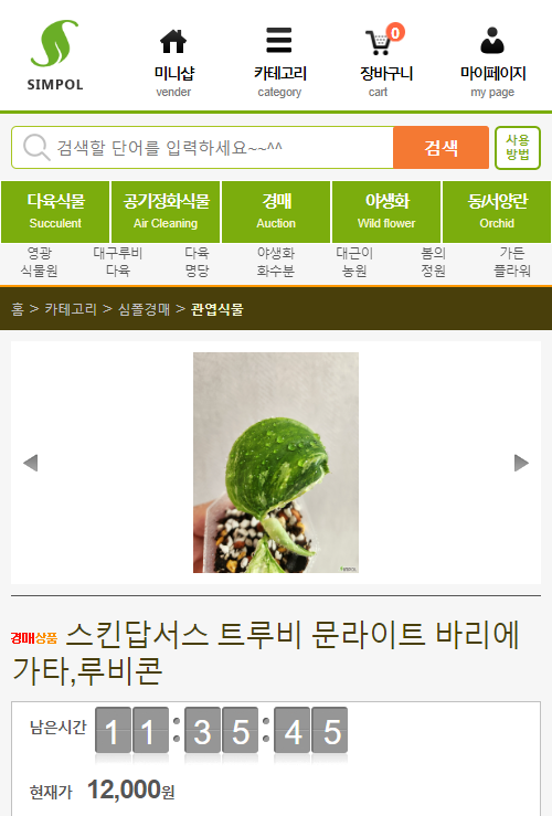 묘한정원 이미지