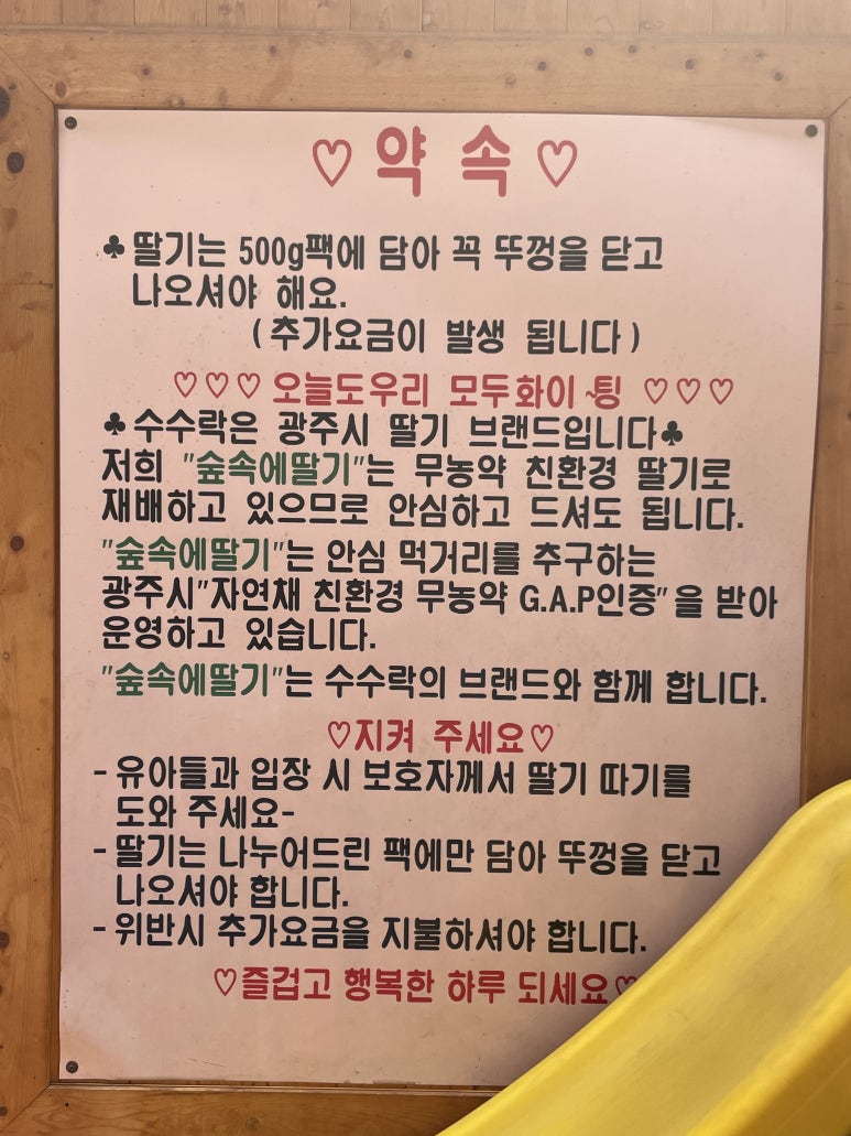 숲속에 딸기 이미지