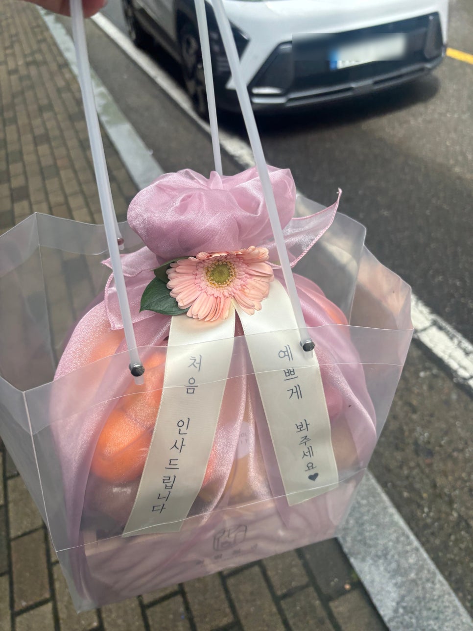 비산청과 이미지