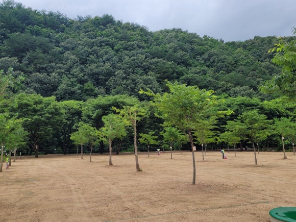 숲속도마치계곡캠핑장 이미지
