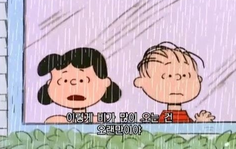 사계절물회 이미지