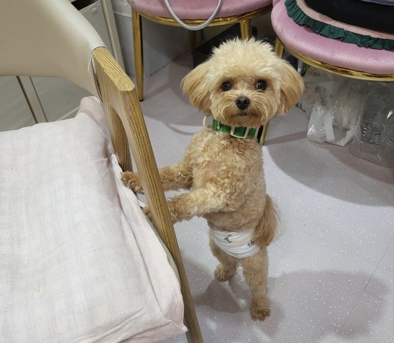 뚜디살롱 이미지