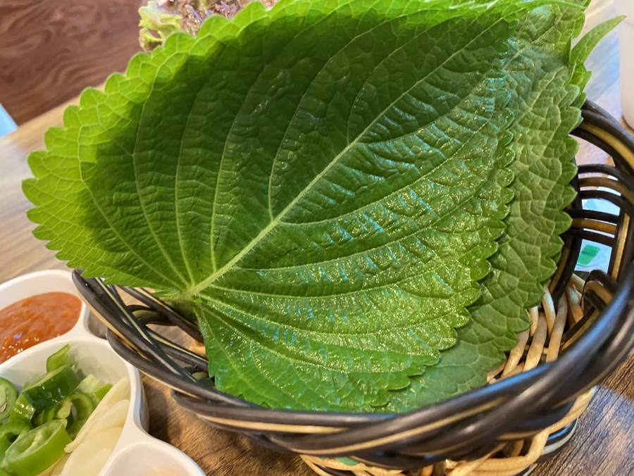 운비 사진 7