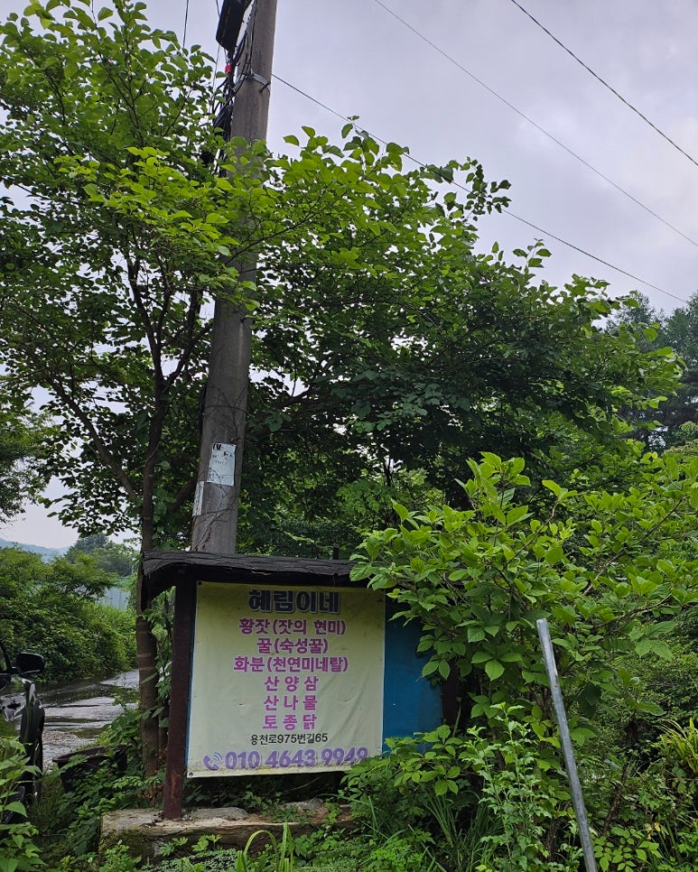 혜림이네 이미지