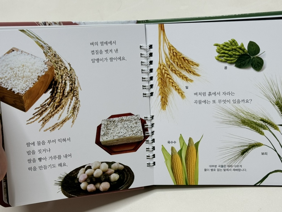 퍼스트푸릇 이미지