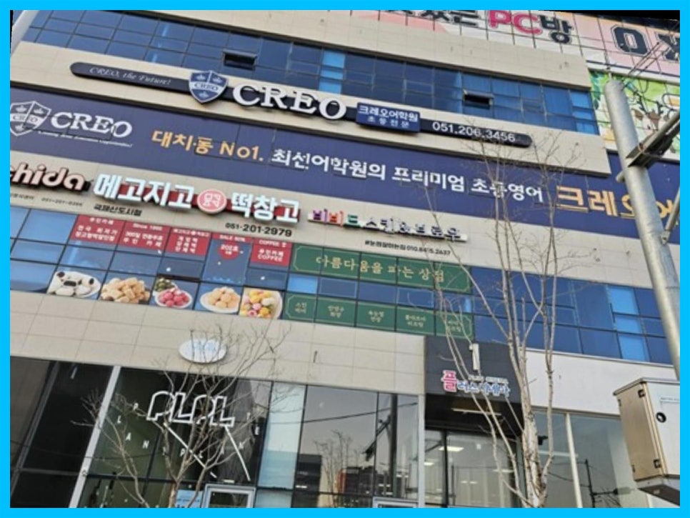 비비드 스킨 앤(&) 브로우 이미지