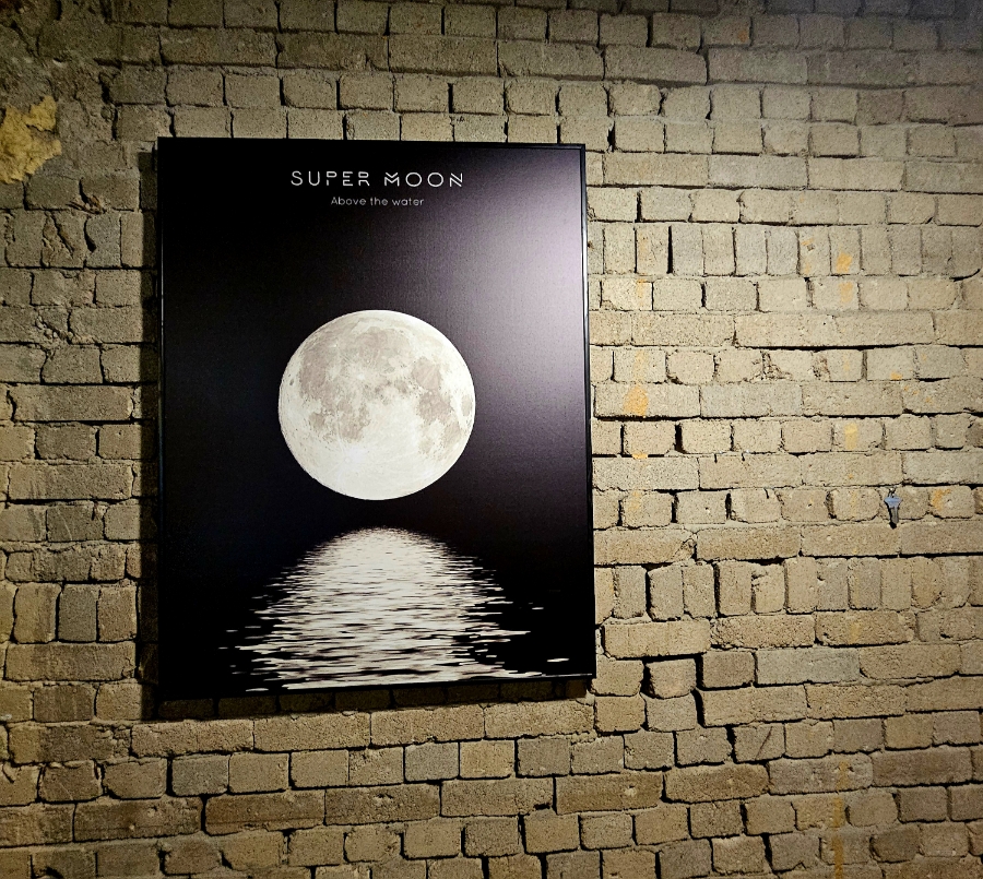 디어문(Dear Moon) 이미지