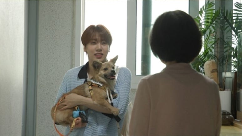 털뭉치 이미지