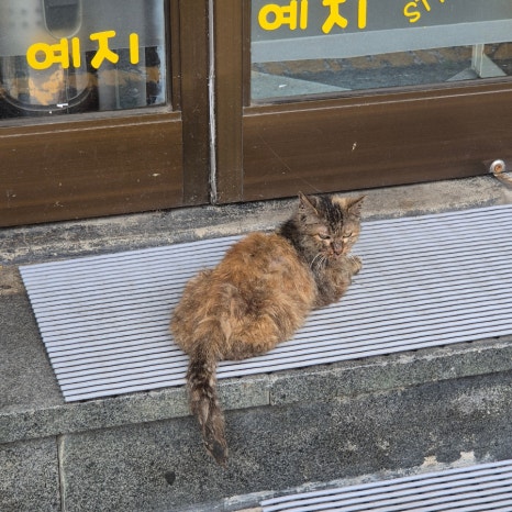 예지머리방 이미지