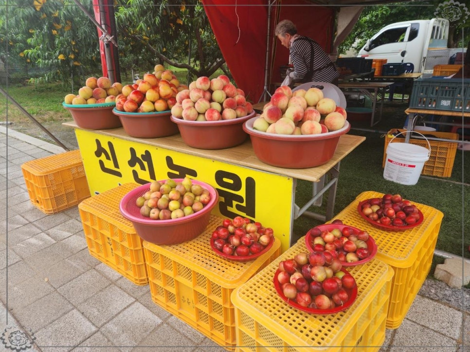 신선농원 이미지