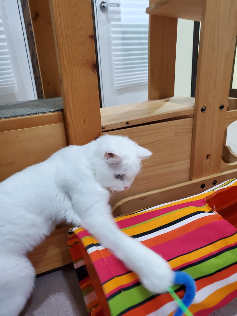 호텔하루 이미지