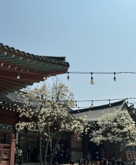 뷰하우스 이미지