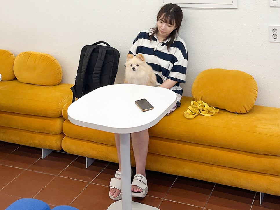 데일리오아시스오산 이미지