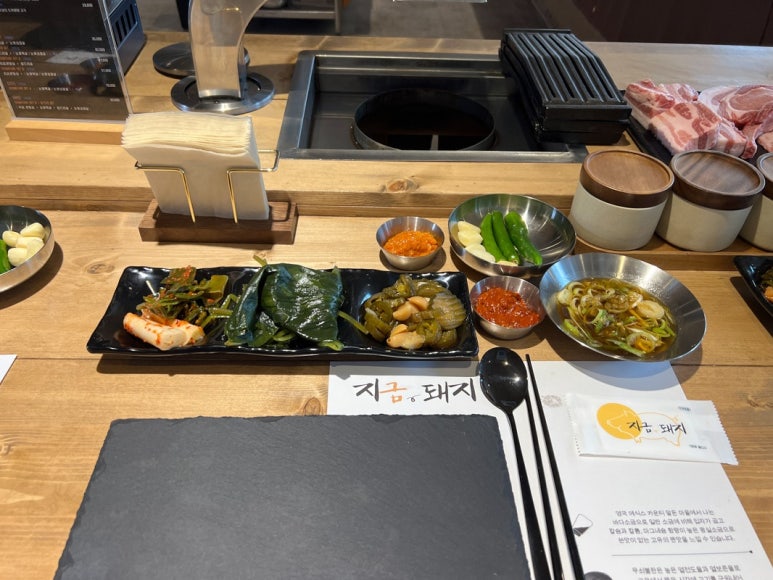 지금,돼지 이미지
