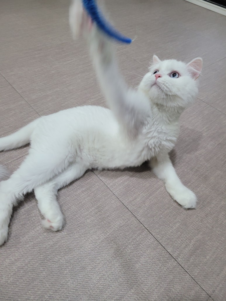 호텔하루 이미지