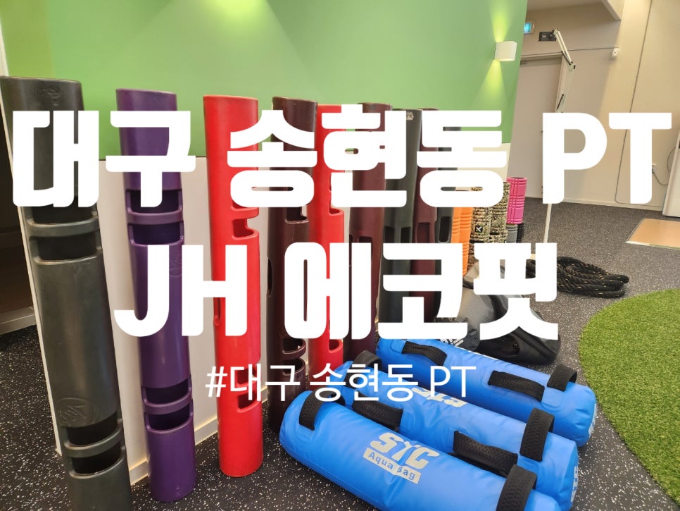 에코피티 이미지