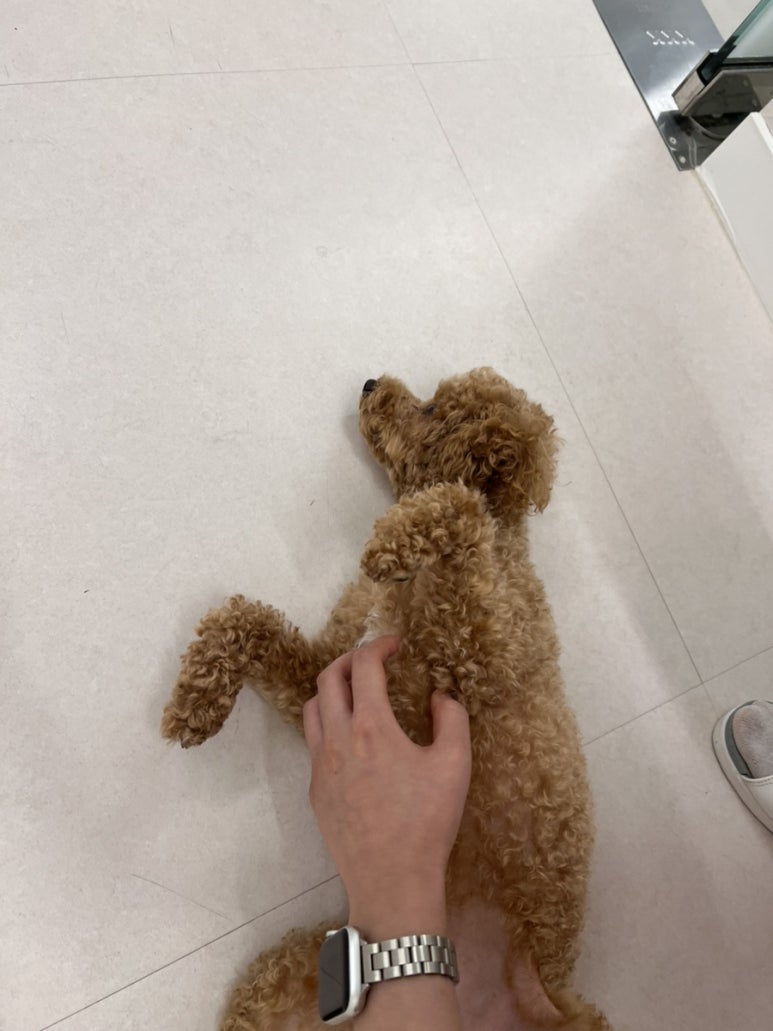 제이더블유메디 이미지