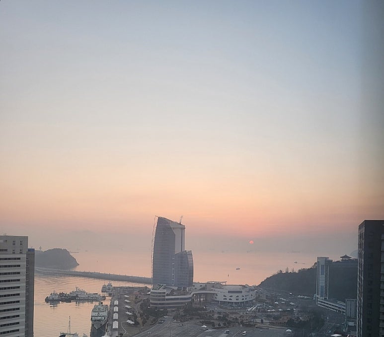 서울식당 이미지