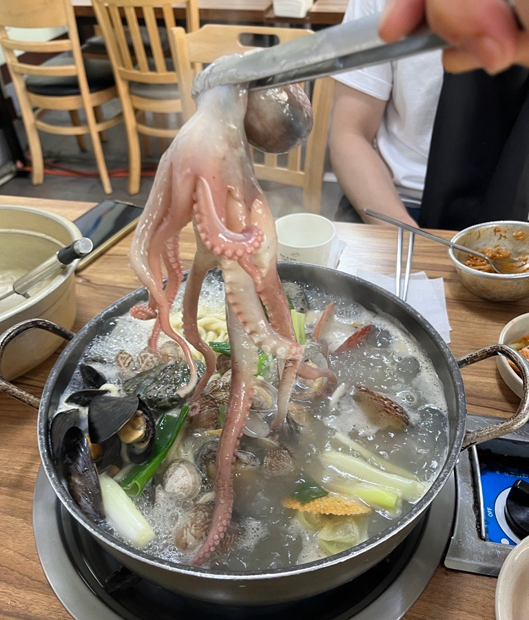 일구이공 이미지
