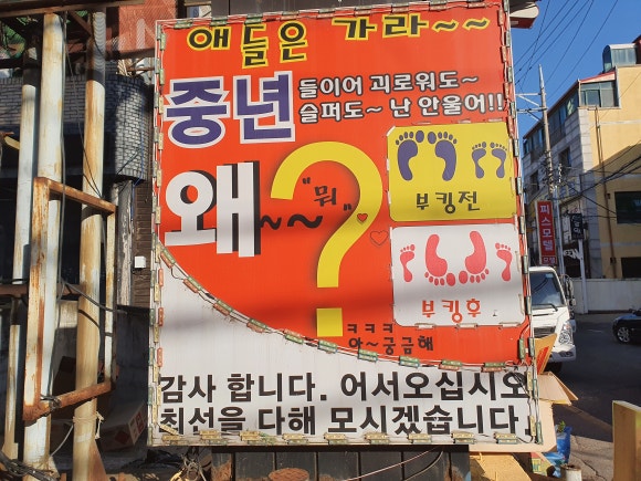 호박성인관광나이트 이미지