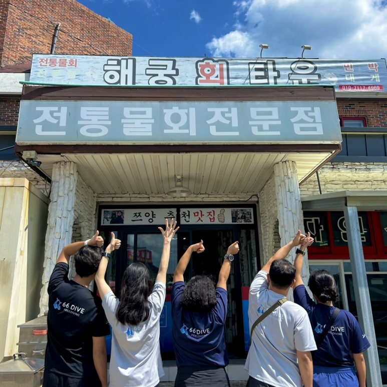 다이브플렉스 이미지