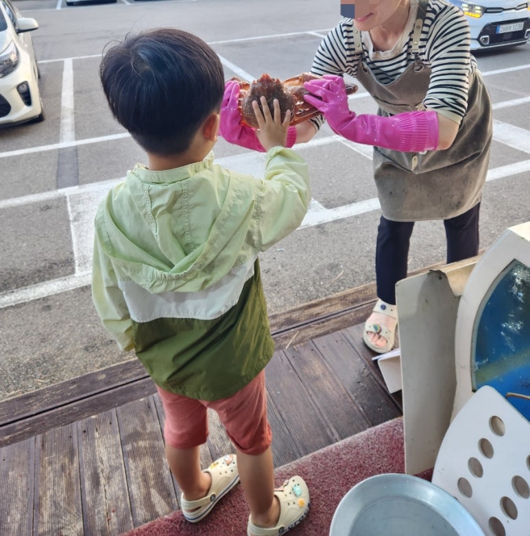 왕궁대게킹 이미지