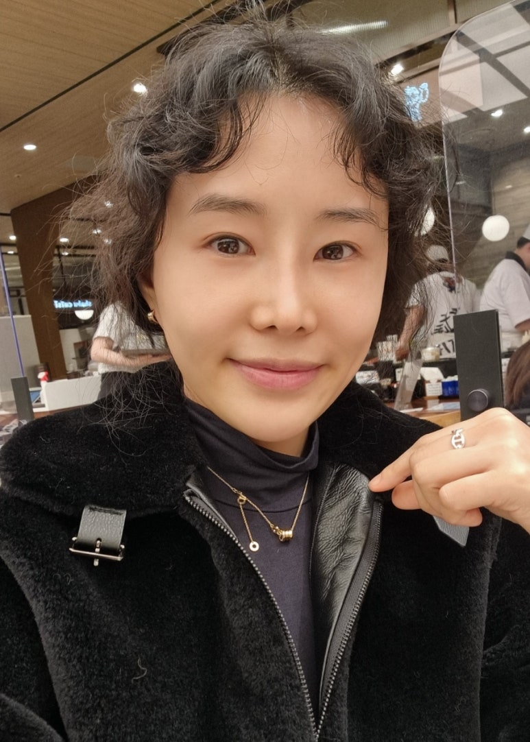 태양수선 이미지