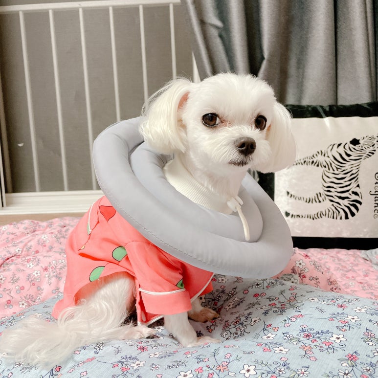 꽁이옷장 이미지