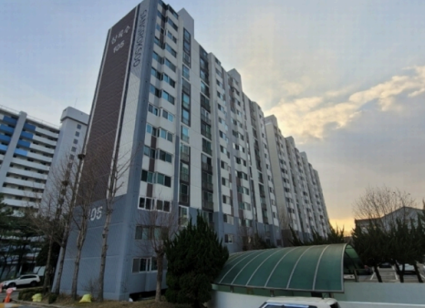상록수 이미지
