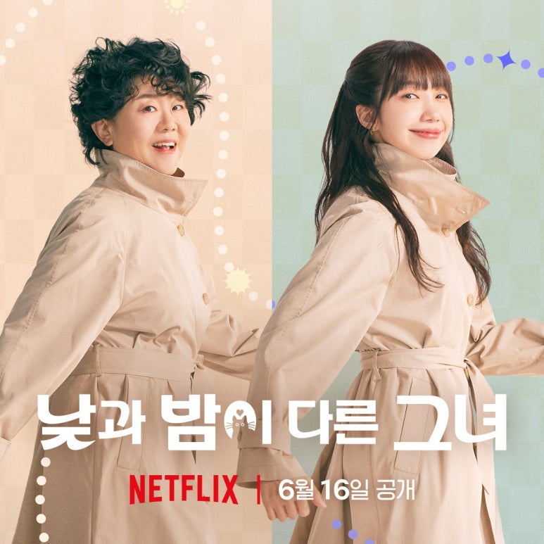 다인코퍼레이션 이미지