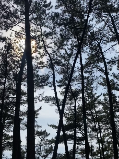 우니메이카 태안점 이미지