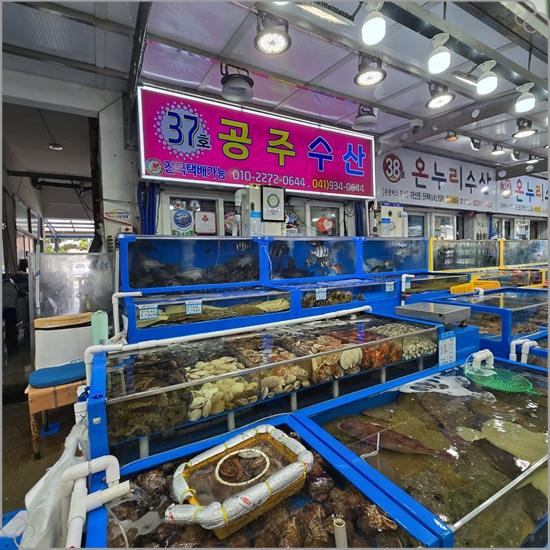 공주회수산 이미지