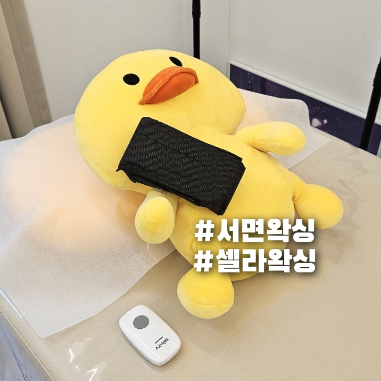 셀라왁싱 이미지