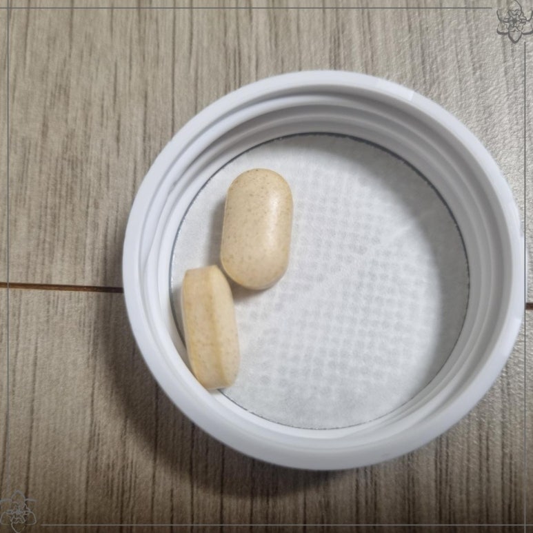 파파인 이미지