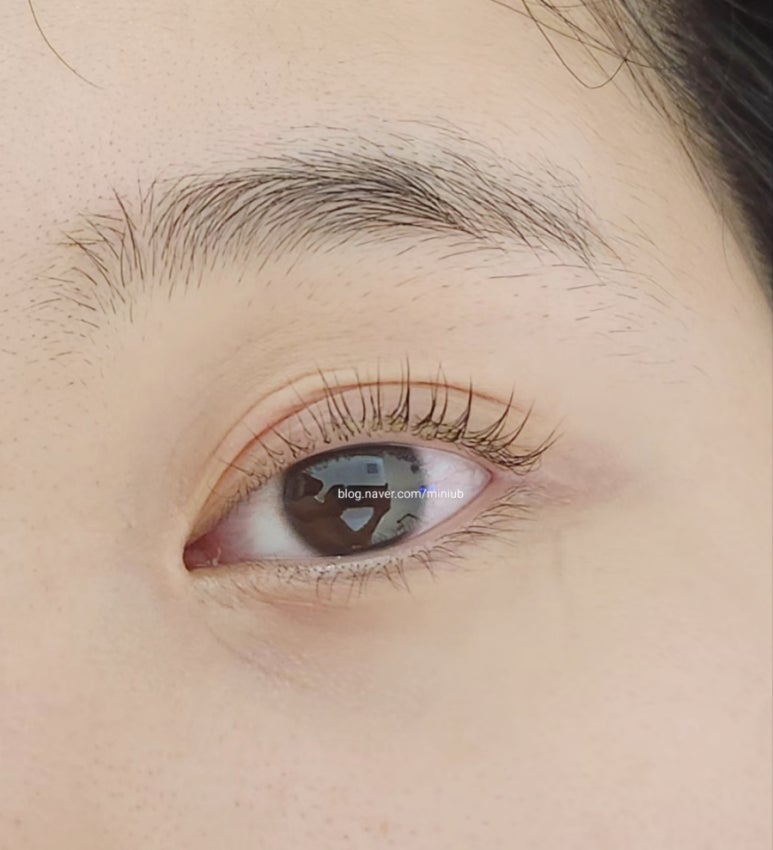 유비홀릭 이미지