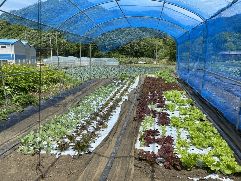 덕산정육점 이미지