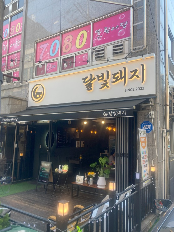 달빛돼지 이미지