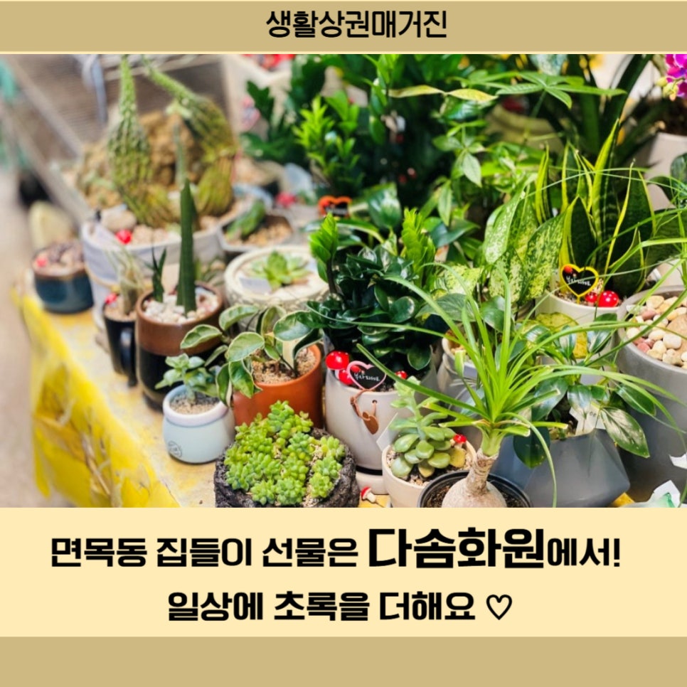 다솜화원 이미지