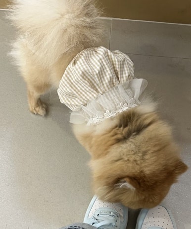 옥희미용실 이미지