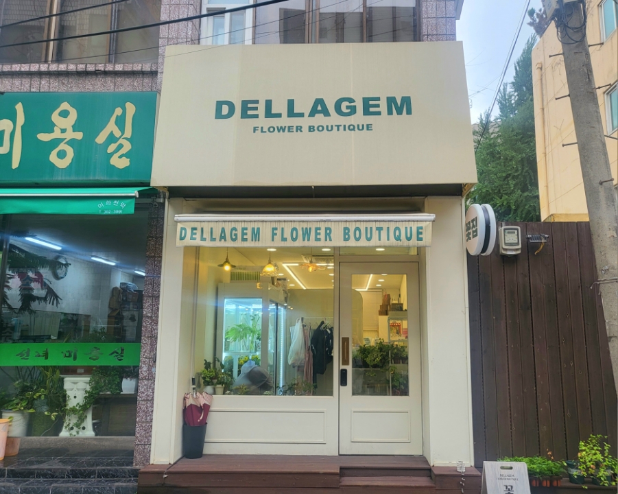 델라젬 이미지