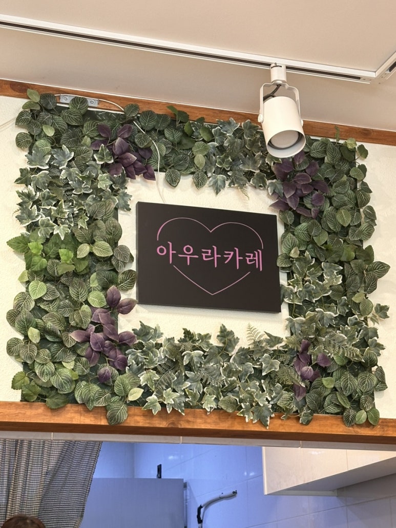 아우라카레 이미지
