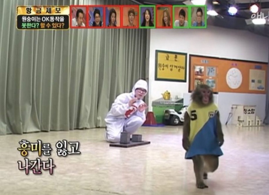 포싯스튜디오 이미지