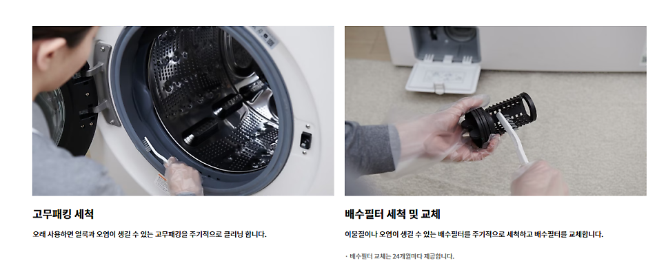 워시25 이미지